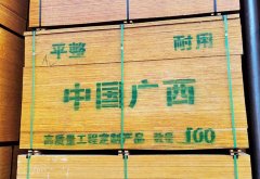 工地建筑模板厂家